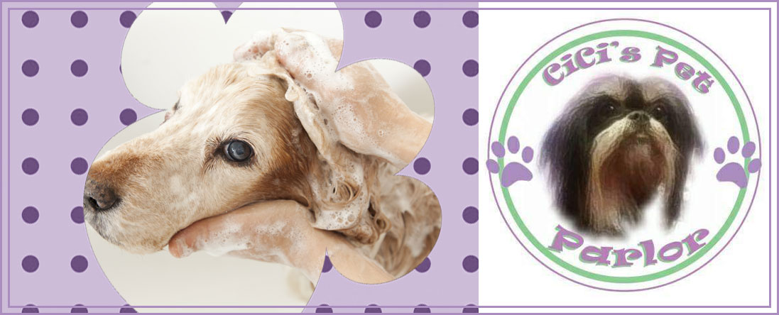 Cici's Pet Parlor is a Pet Groomer in Lakewood, CO Cici's Pet Parlor is a Pet Groomer in Lakewood, CO