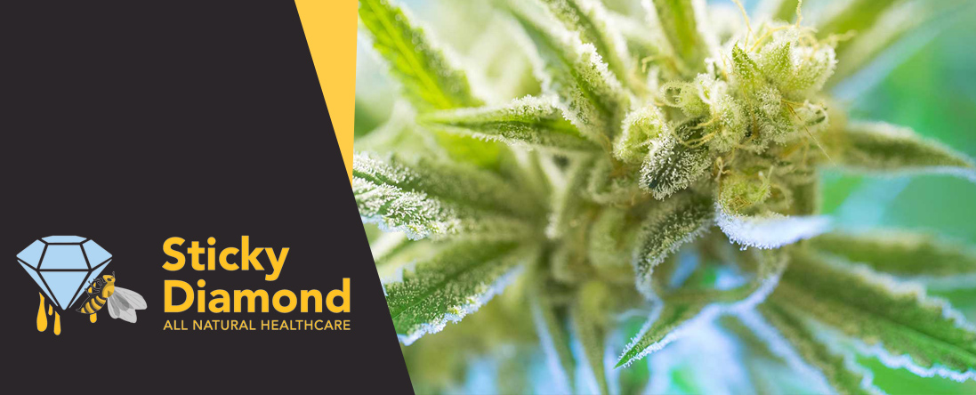 Sticky Diamond Offers Medical Marijuana in Rome, ME Sticky Diamond Offers Medical Marijuana in Rome, ME